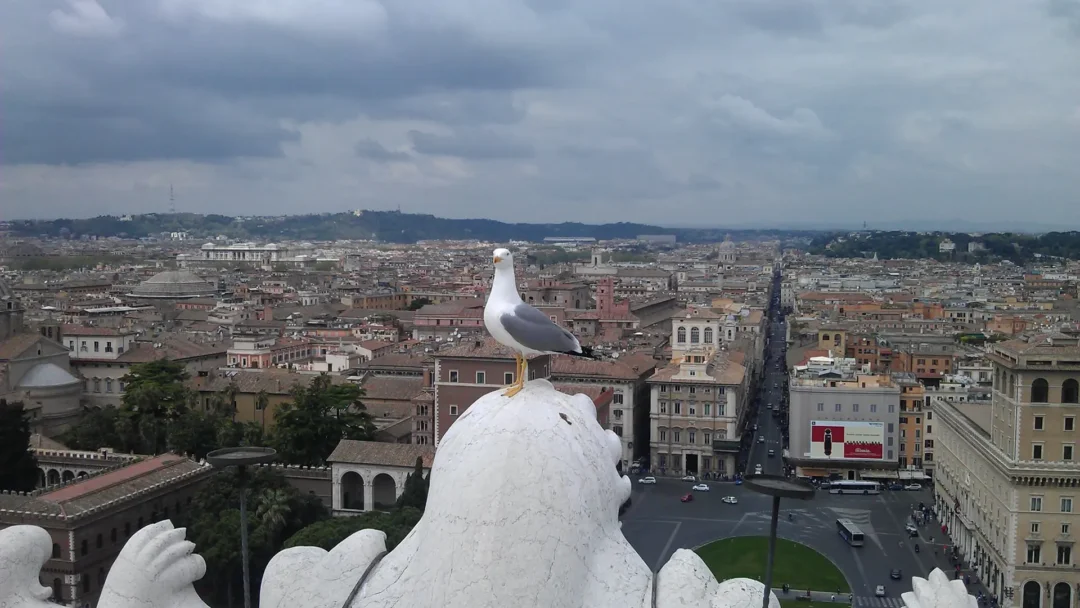 На вершині пам'ятника Віктору Еммануїлу II. Вид охоплює історичний центр Риму, включаючи площу Венеції (Piazza Venezia) та Віа дель Корсо (Via del Corso). На задньому плані можна побачити купол Пантеону. Пам'ятник Віктору Еммануїлу II, також відомий як "Вівтар Вітчизни" (Altare della Patria), є монументальним національним пам'ятником, побудованим на честь першого короля об'єднаної Італії.